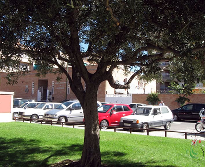 Edificio de la Casa Regional de Andalucía en Huesca con árboles y coches en el entorno.